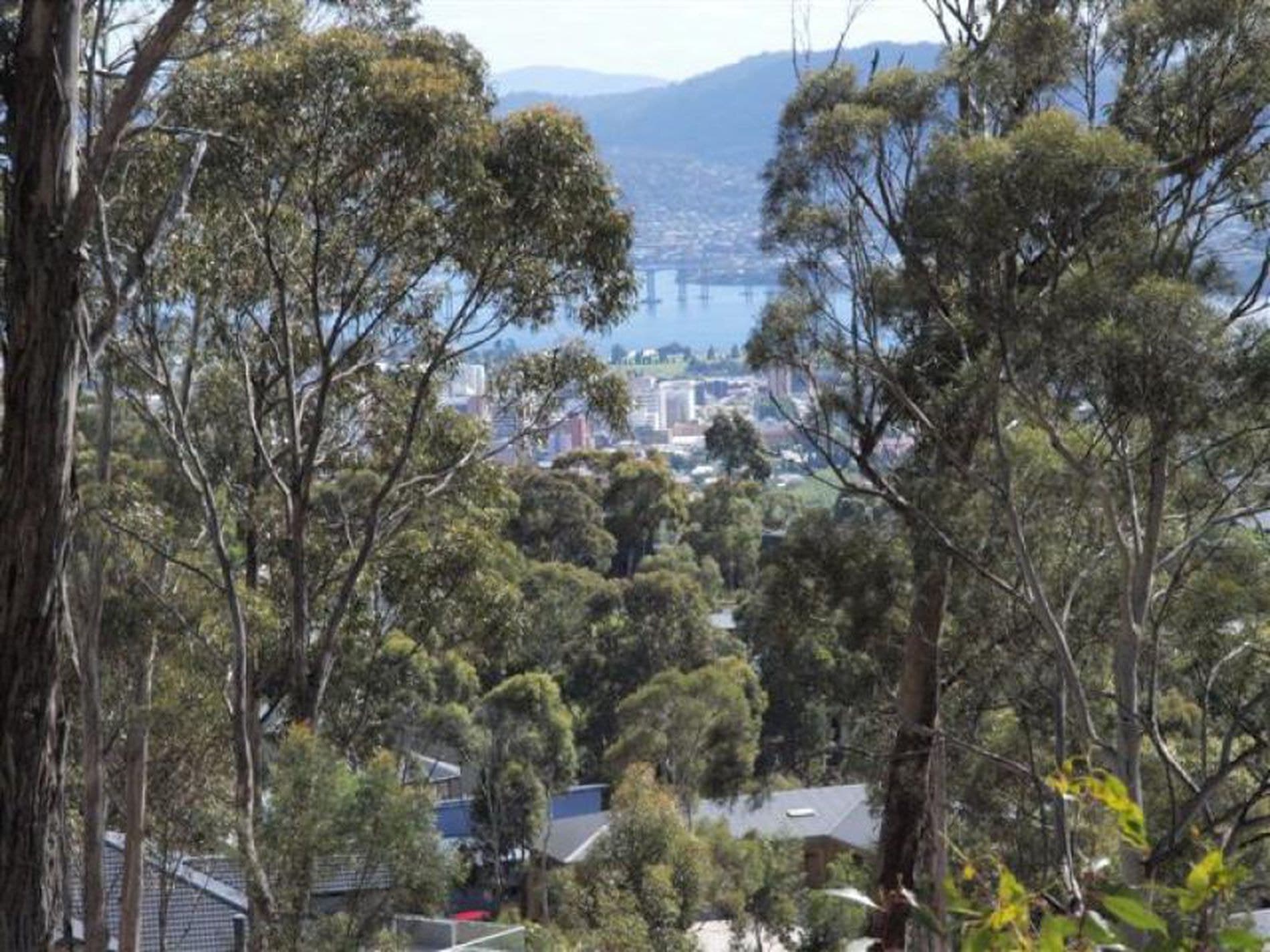 Lot 15 Hillcrest Road, TOLMANS HILL TAS, Tolmans Hill - Thumbnail 8