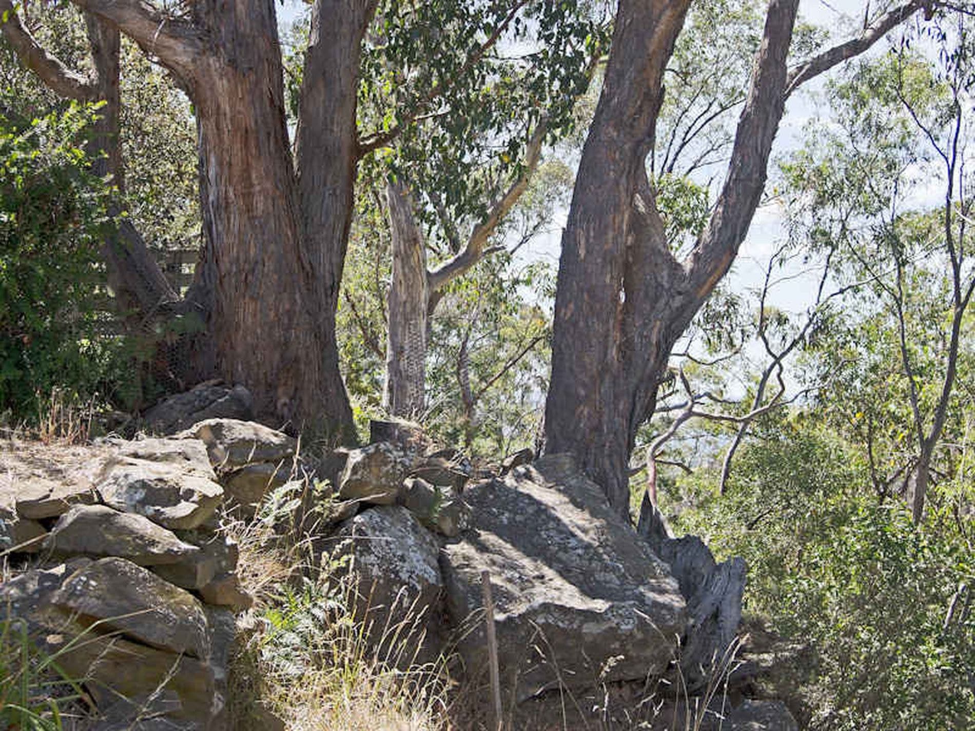 9 Grayling Avenue, South Hobart, South Hobart - Thumbnail 4
