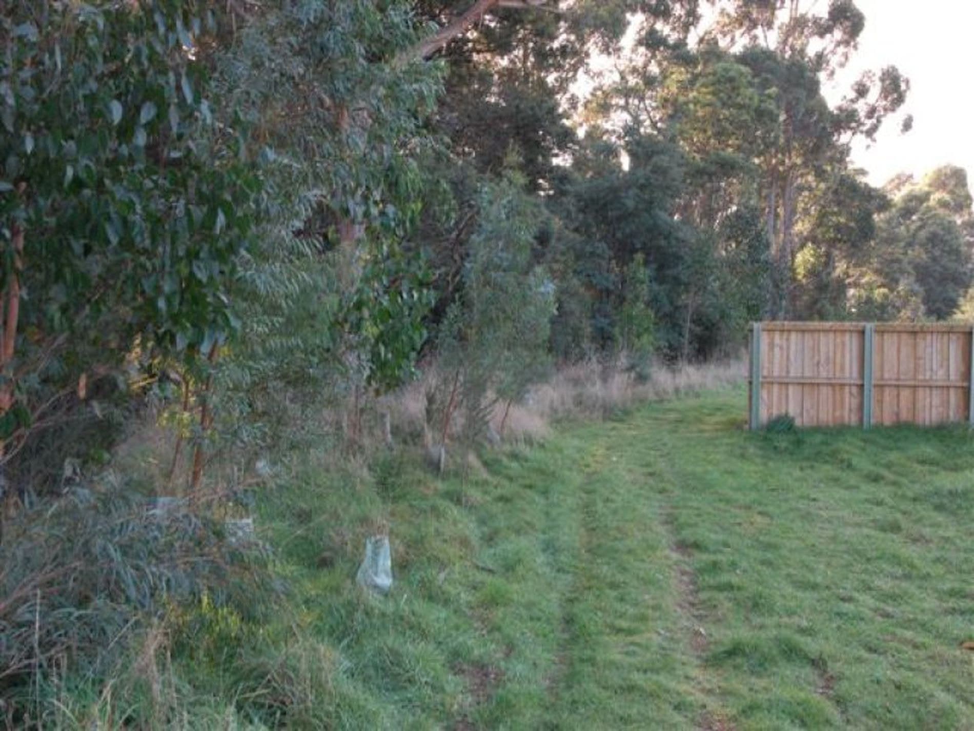 17 Taranaki Place, Snug, Snug - Thumbnail 3