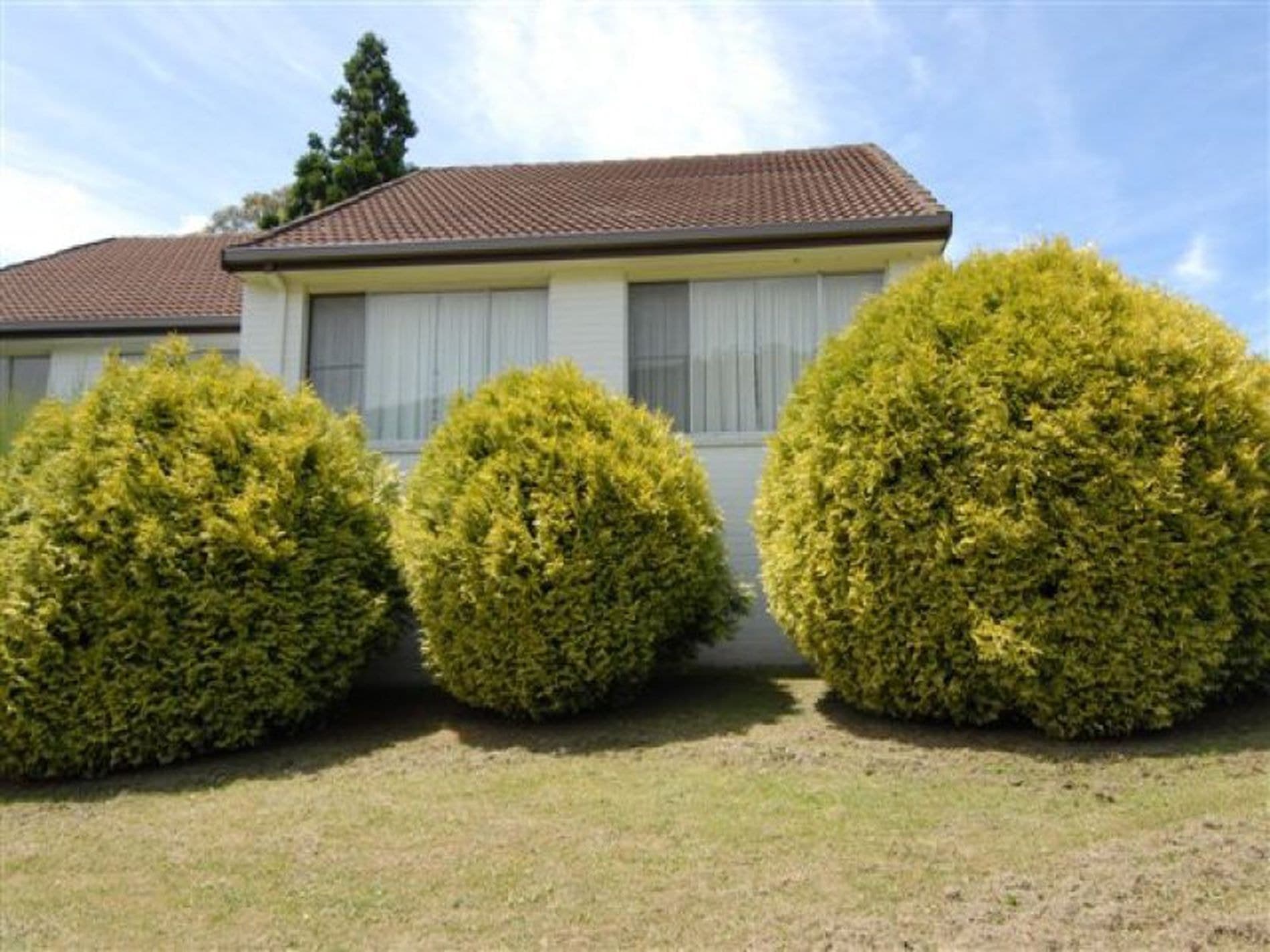 7 / 287 Churchill Avenue, SANDY BAY TAS, Sandy Bay - Image 1