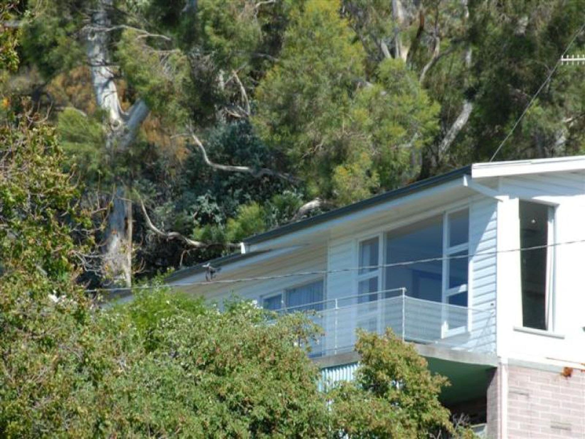 19 Stewart Crescent, Taroona, Taroona - Image 1
