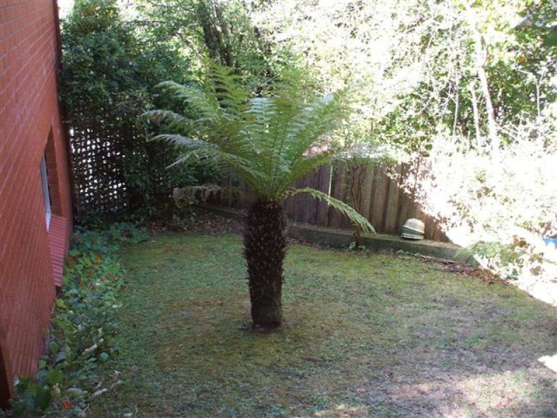 2 / 2A Jabez Crescent, Lenah Valley, Lenah Valley - Thumbnail 8