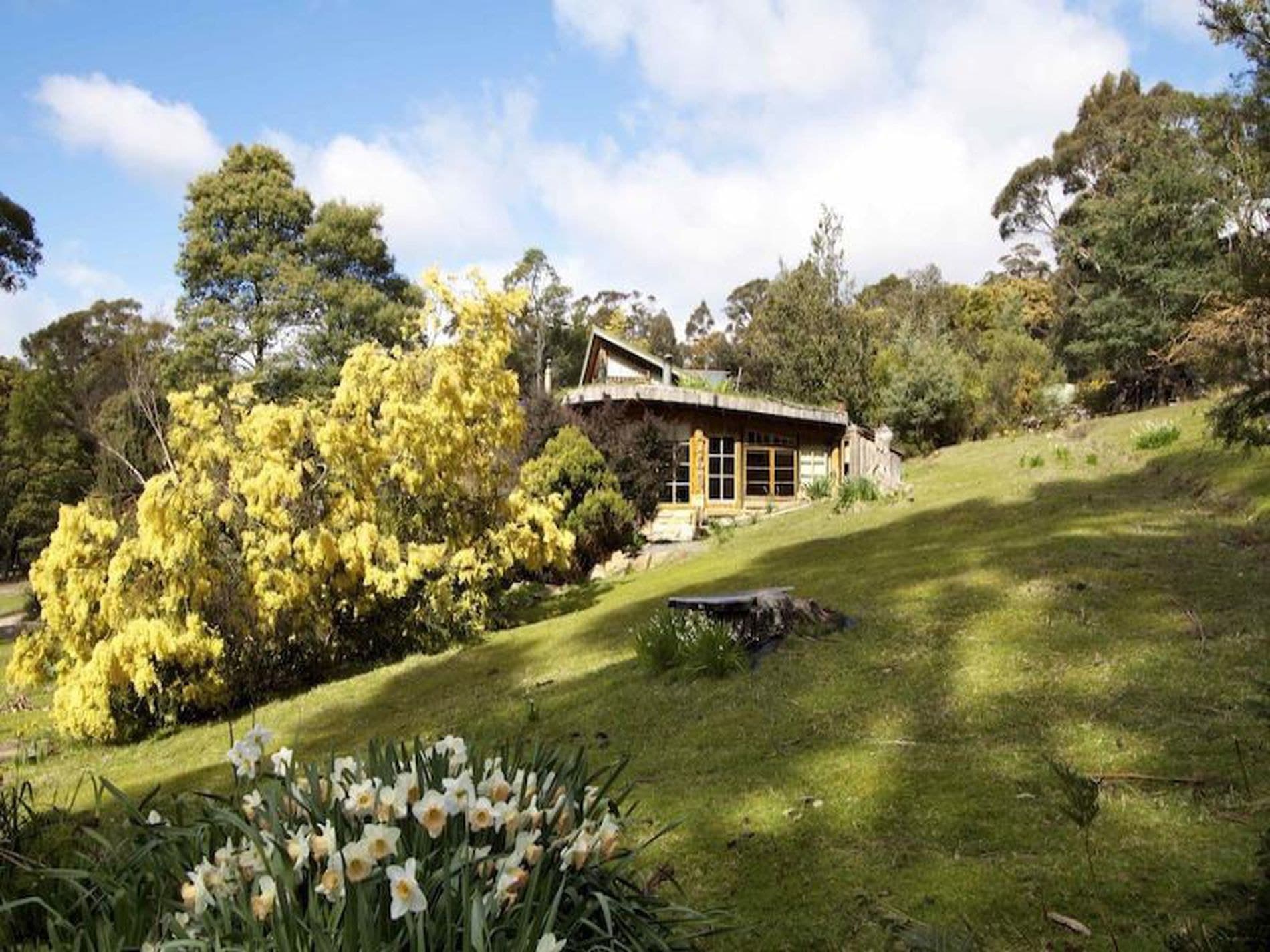 55 Old Farm Road, SOUTH HOBART TAS, South Hobart - Thumbnail 6