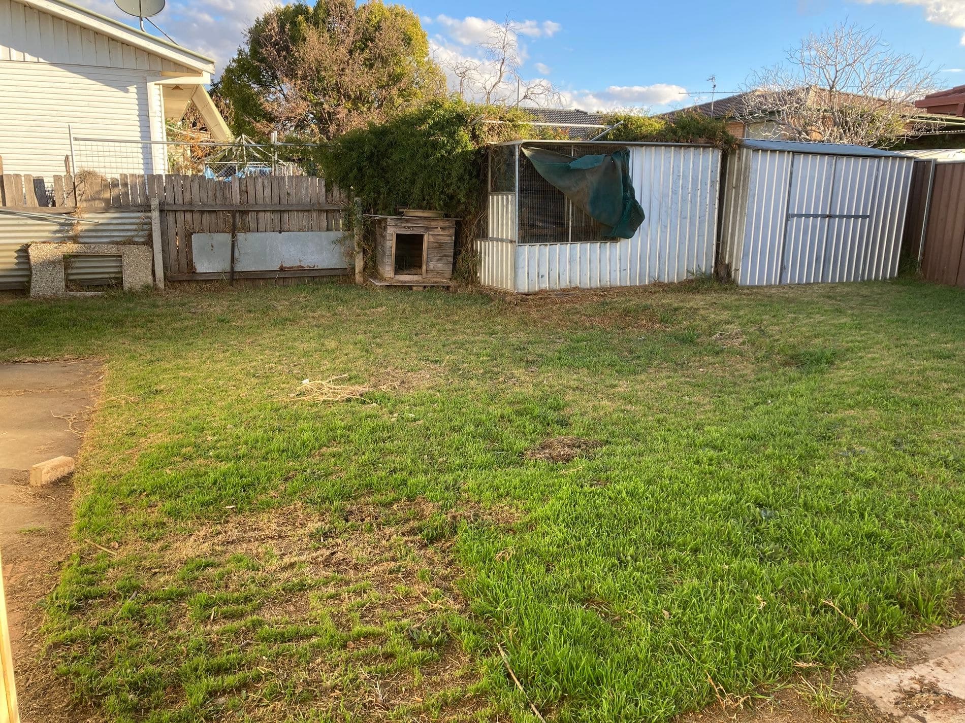 56 Gunnedah Road, Tamworth - Thumbnail 5