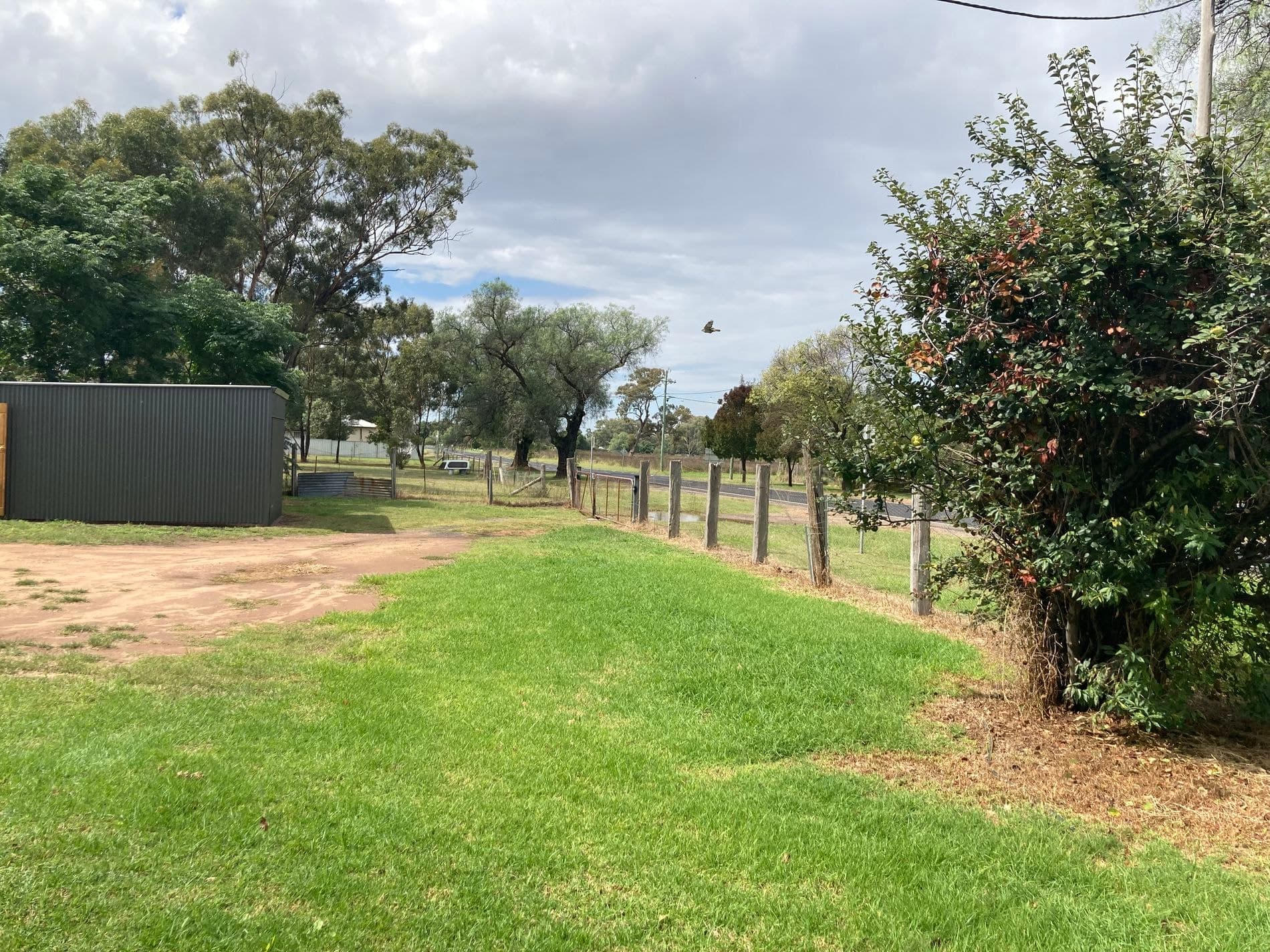 18 Napier Street, Mendooran - Thumbnail 5