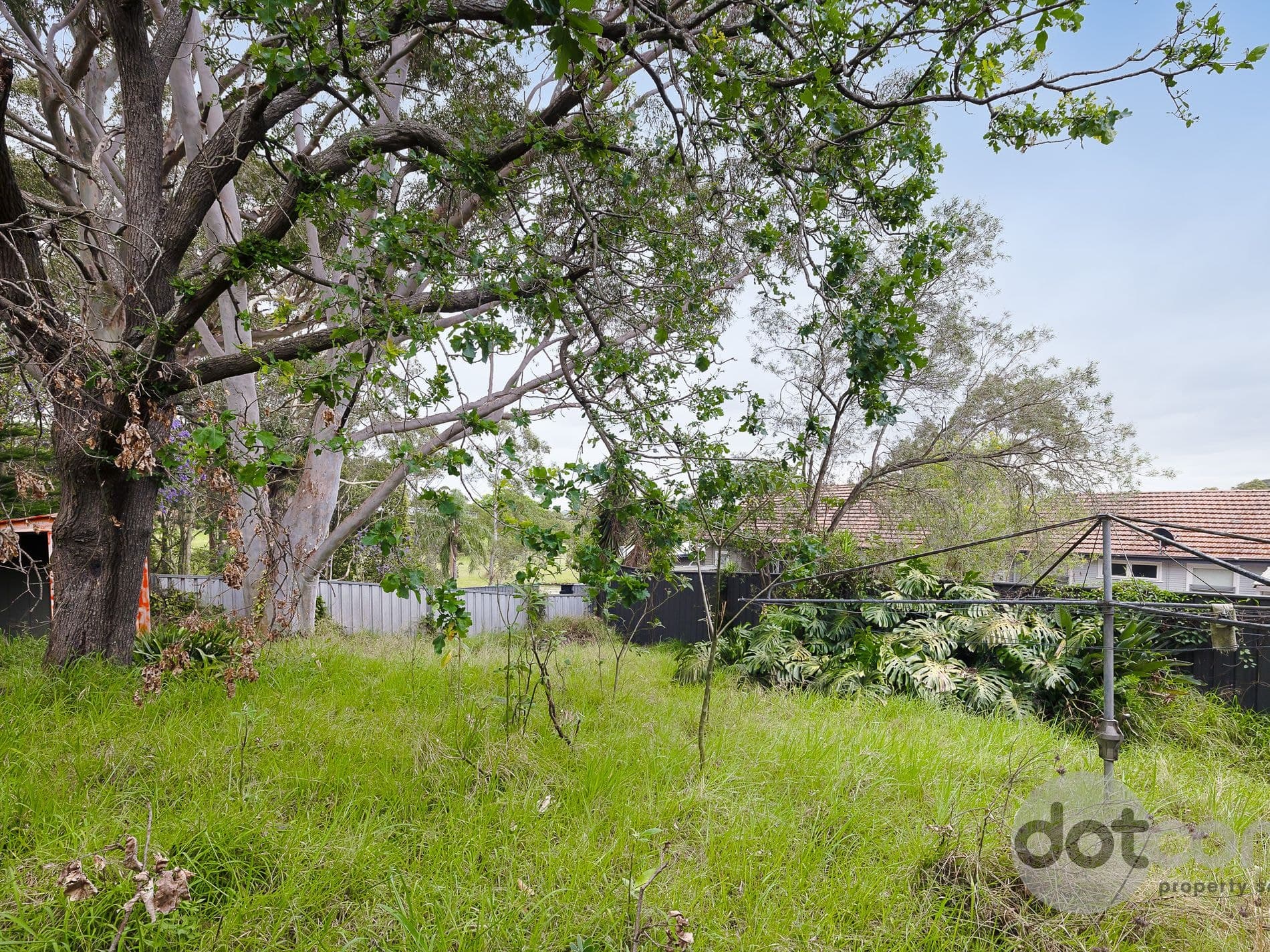 14 Sunset Boulevard, North Lambton, North Lambton - Thumbnail 6