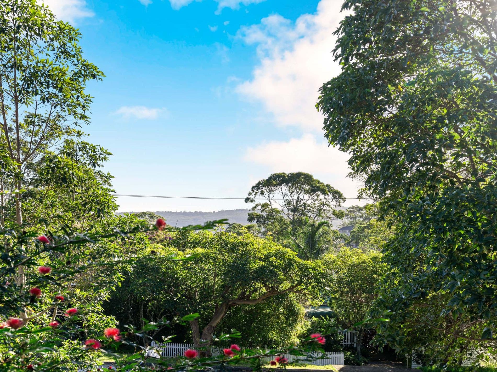 21 White Street, East Gosford - Thumbnail 8