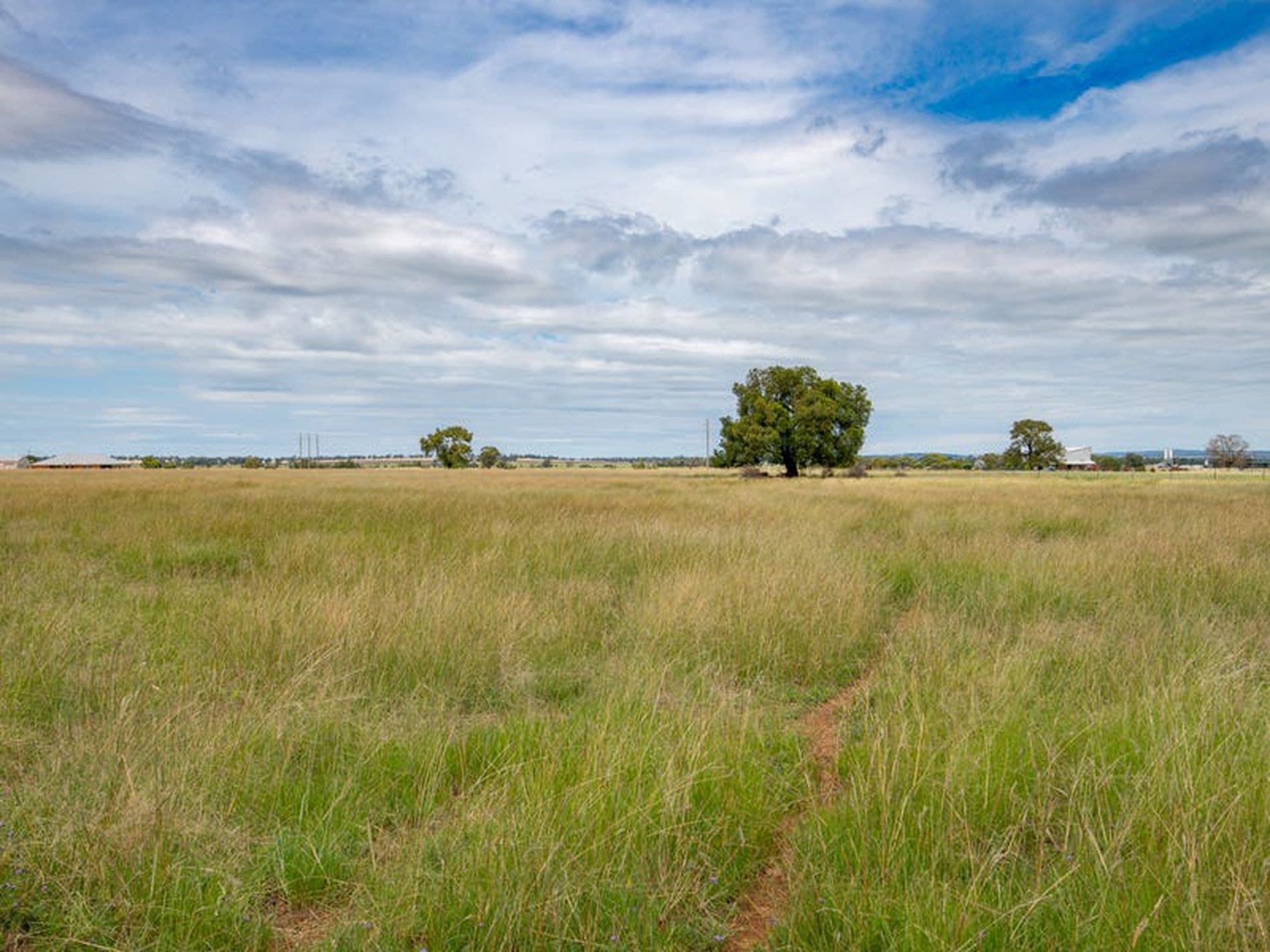 29R Wellington Road, Dubbo - Thumbnail 6
