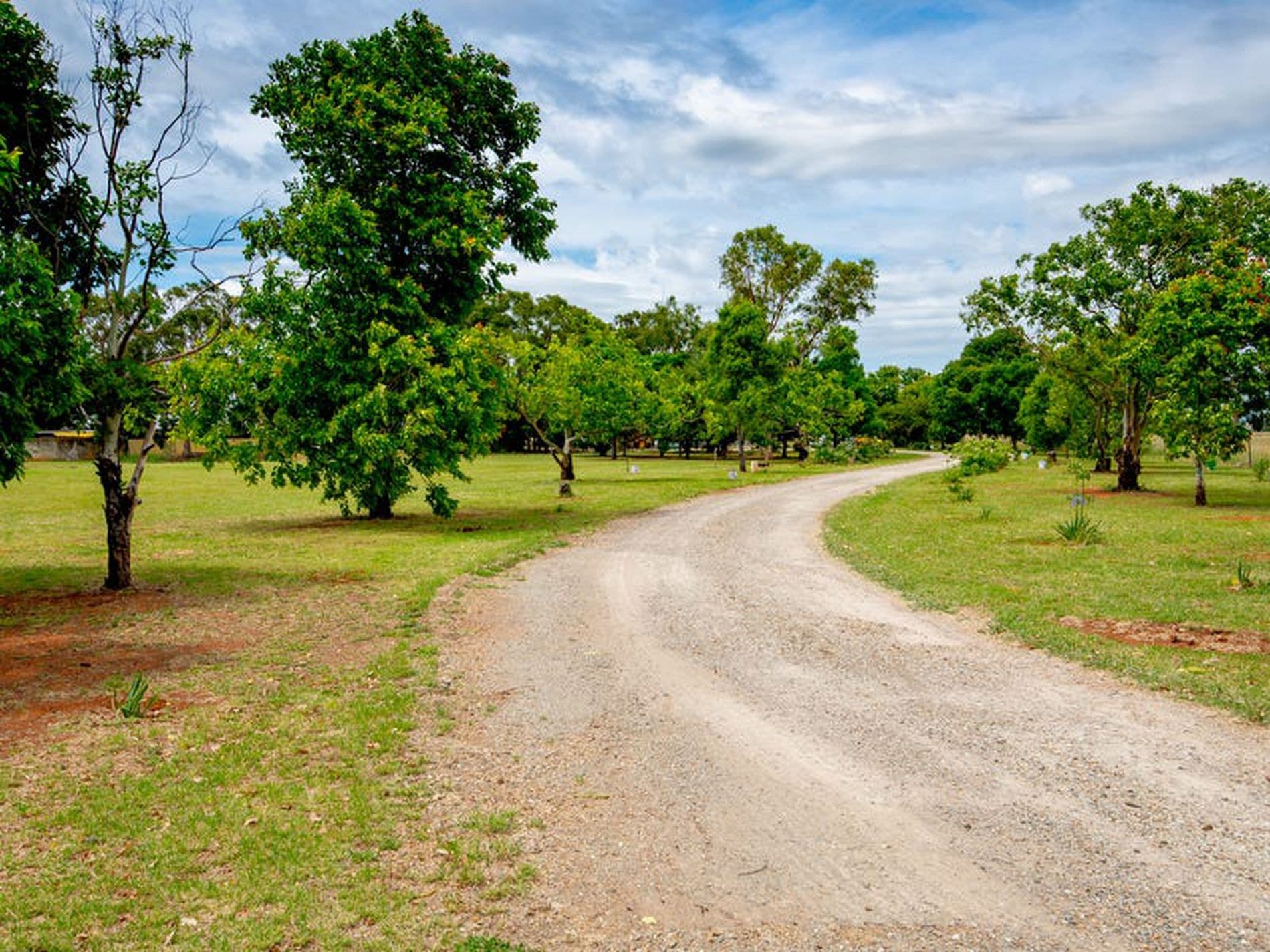 29R Wellington Road, Dubbo - Thumbnail 8