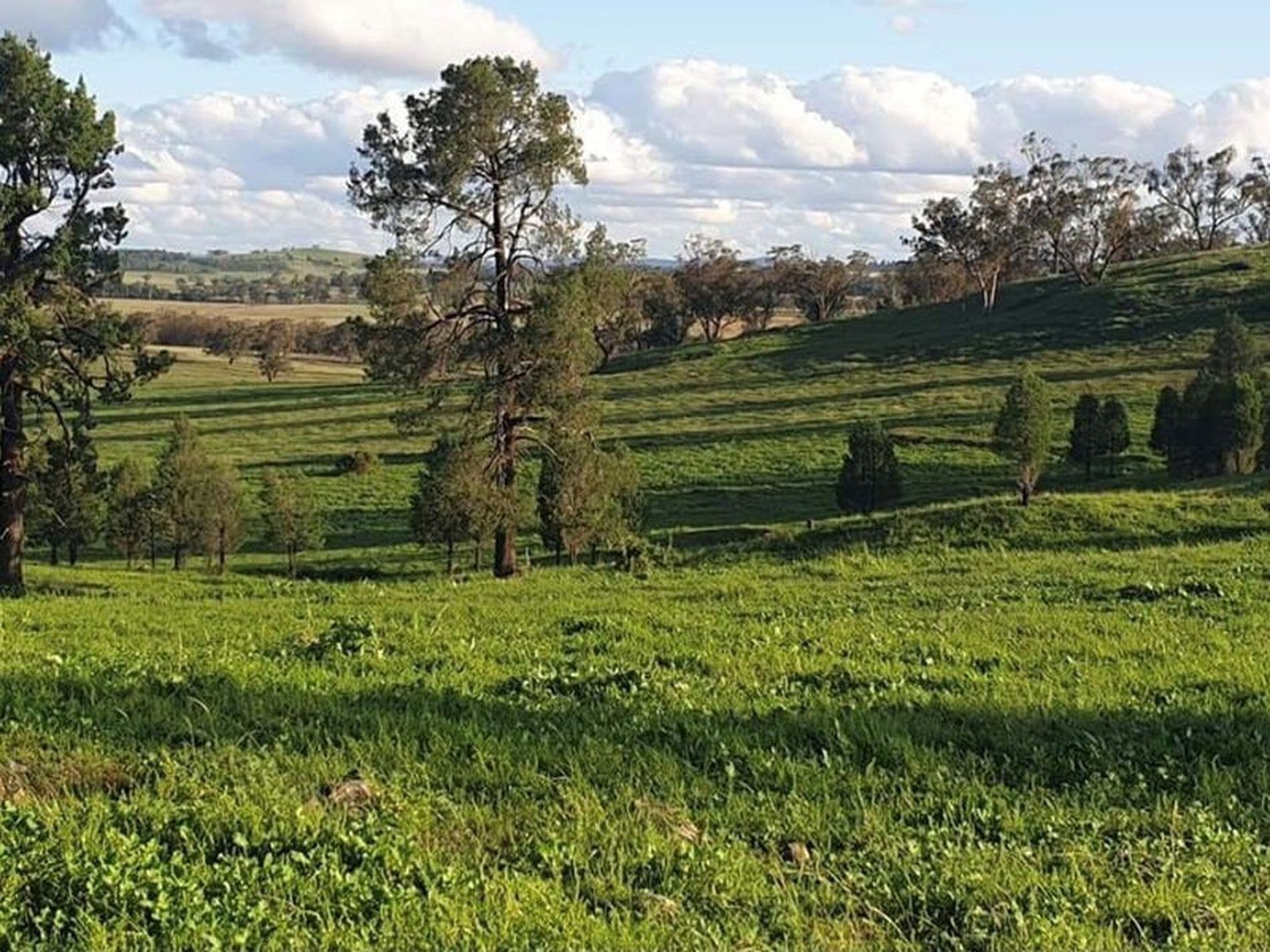 27L Camp Road, Dubbo - Thumbnail 8