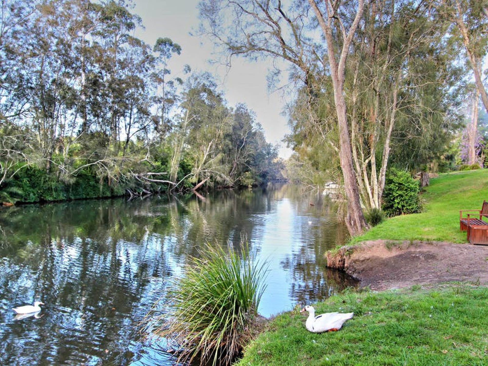 368 Freemans Drive, Cooranbong - Thumbnail 2