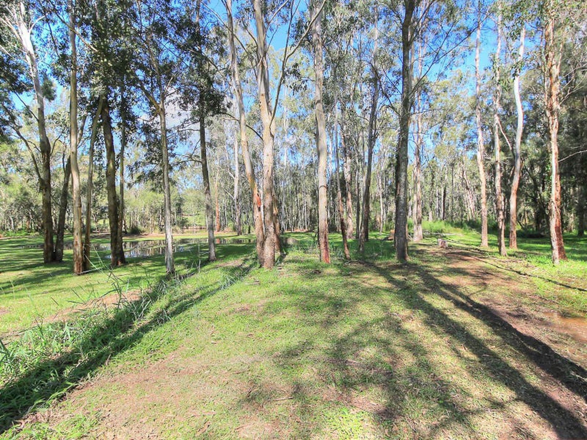 16 Beauty Point Road, Morisset, Morisset - Thumbnail 6