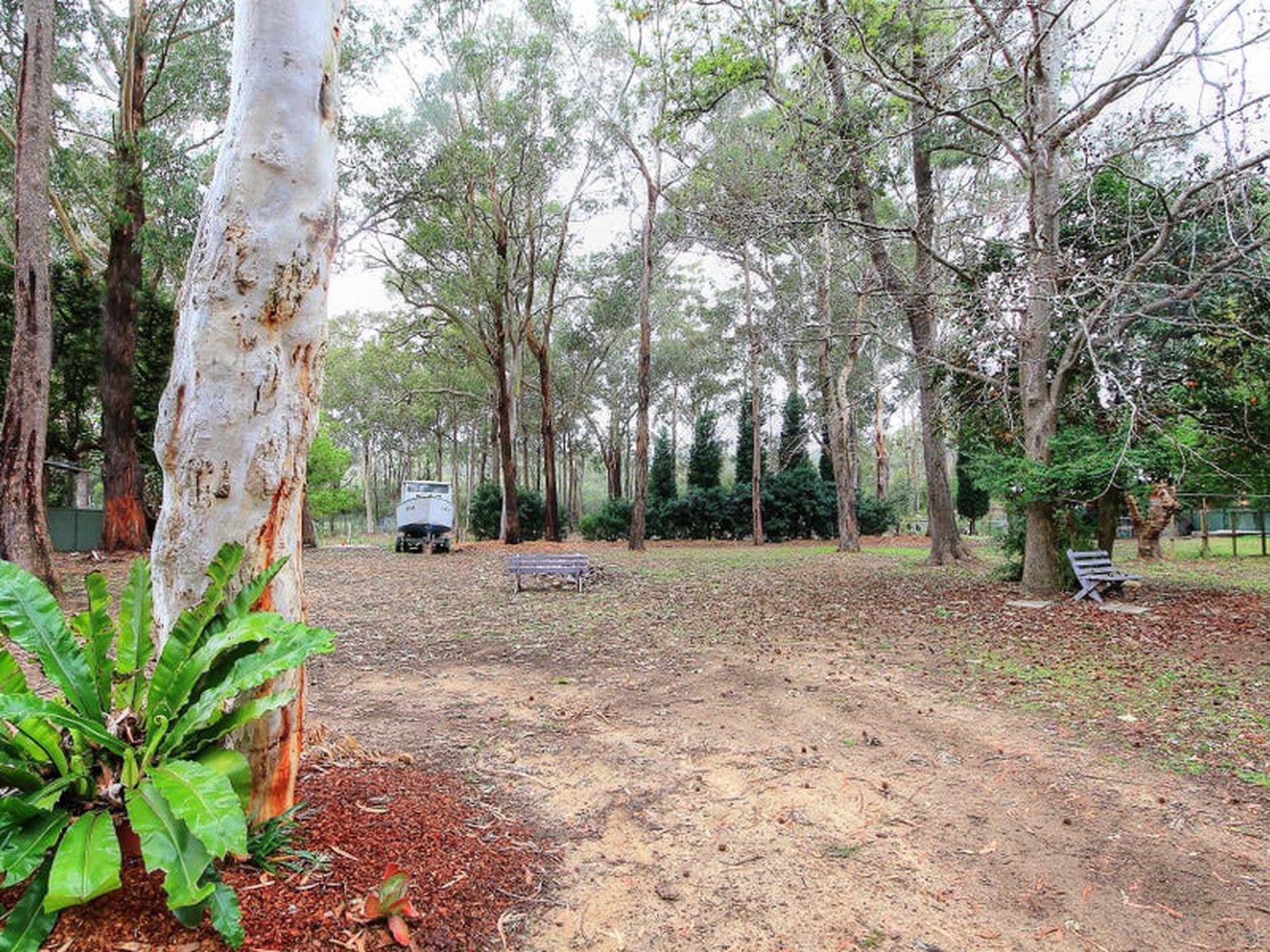 217 Currans Road, Cooranbong - Thumbnail 5