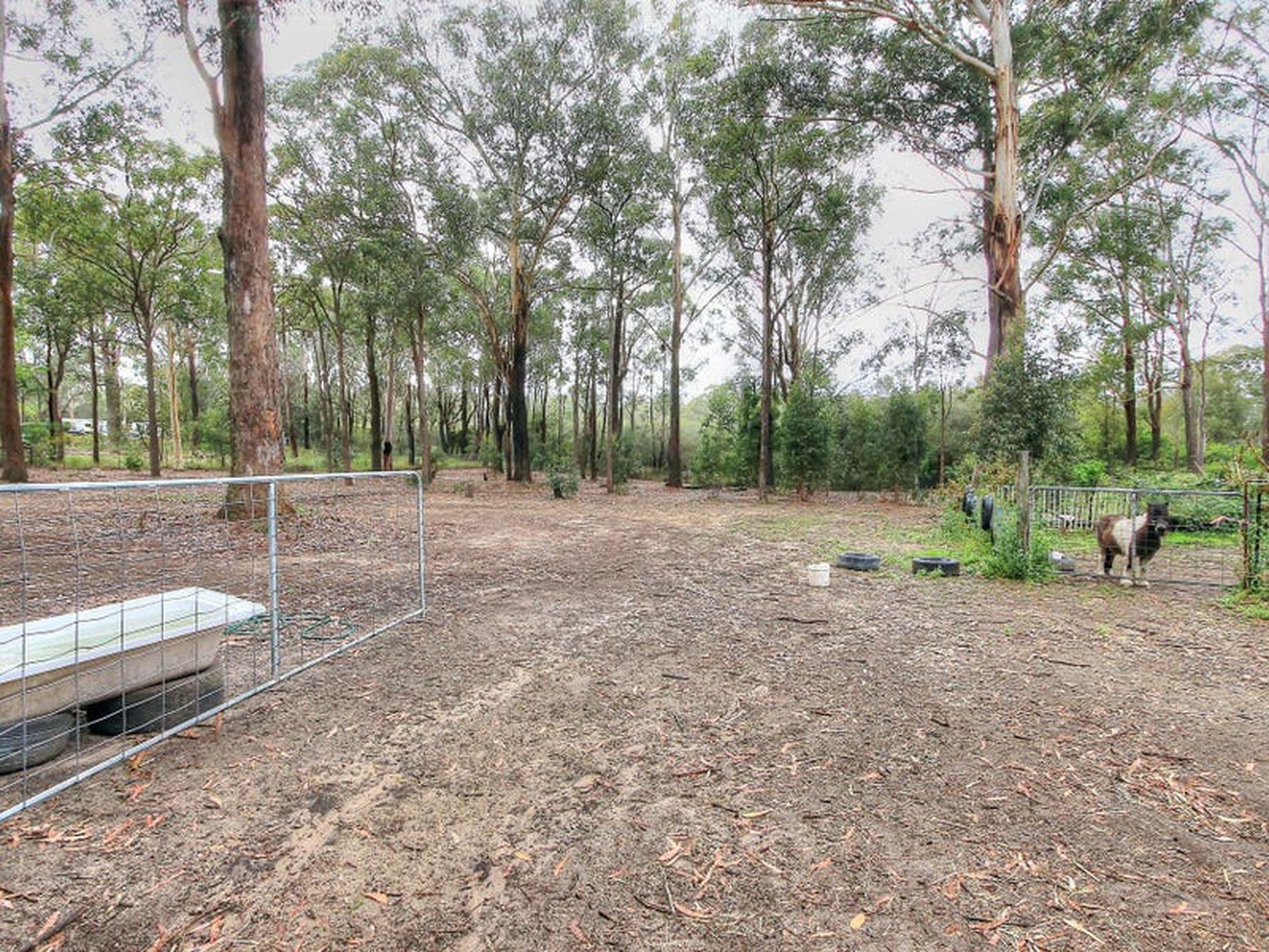 217 Currans Road, Cooranbong - Thumbnail 6