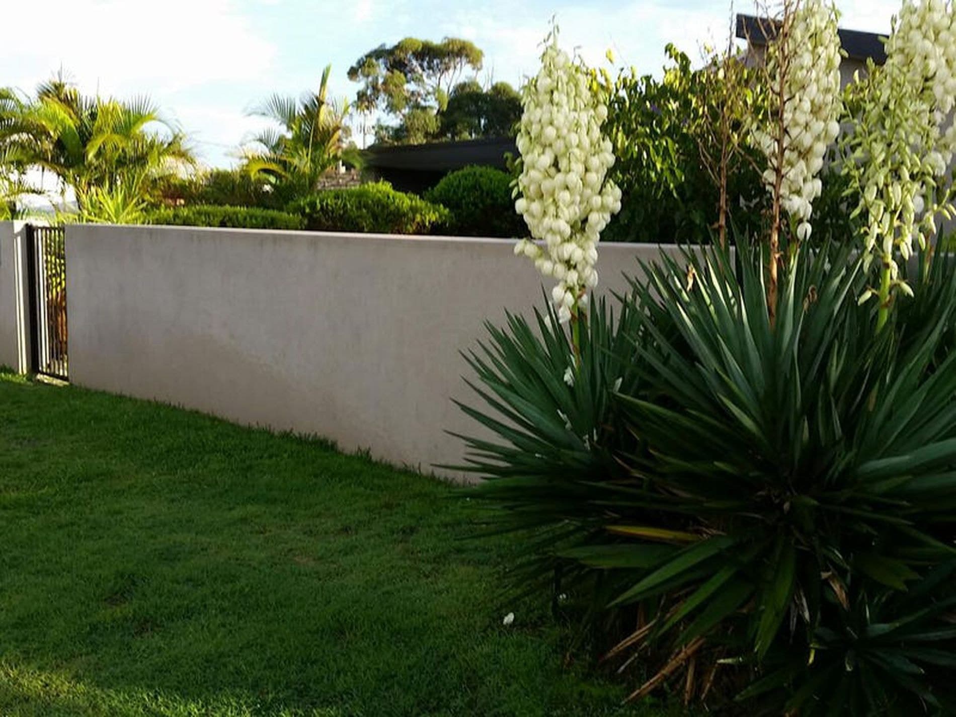 39 Winifred Avenue, Umina Beach - Thumbnail 4