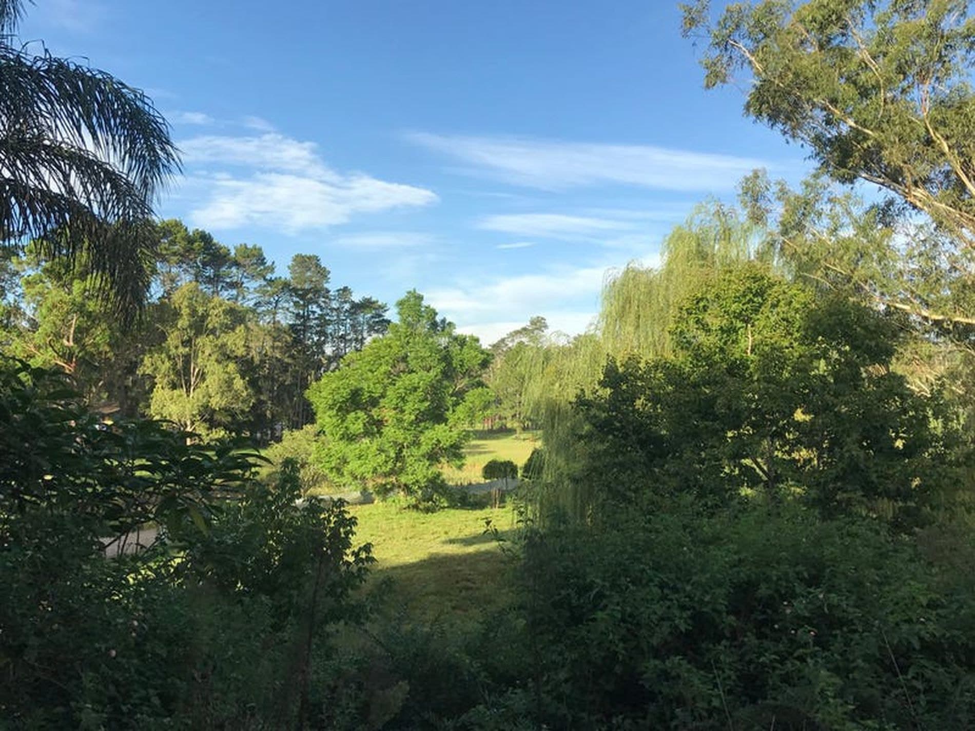 500 Freemans Drive, Cooranbong - Thumbnail 4