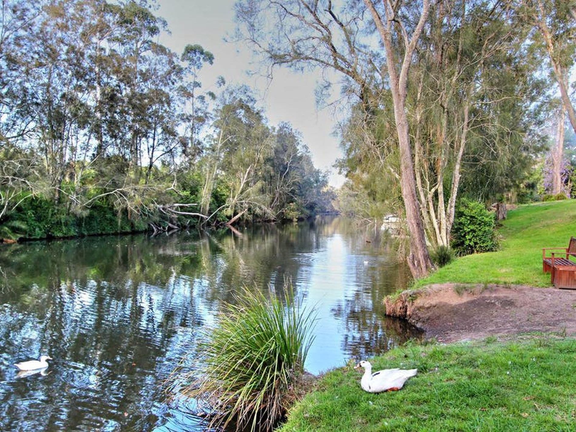 370 Freemans Drive, Cooranbong - Image 1