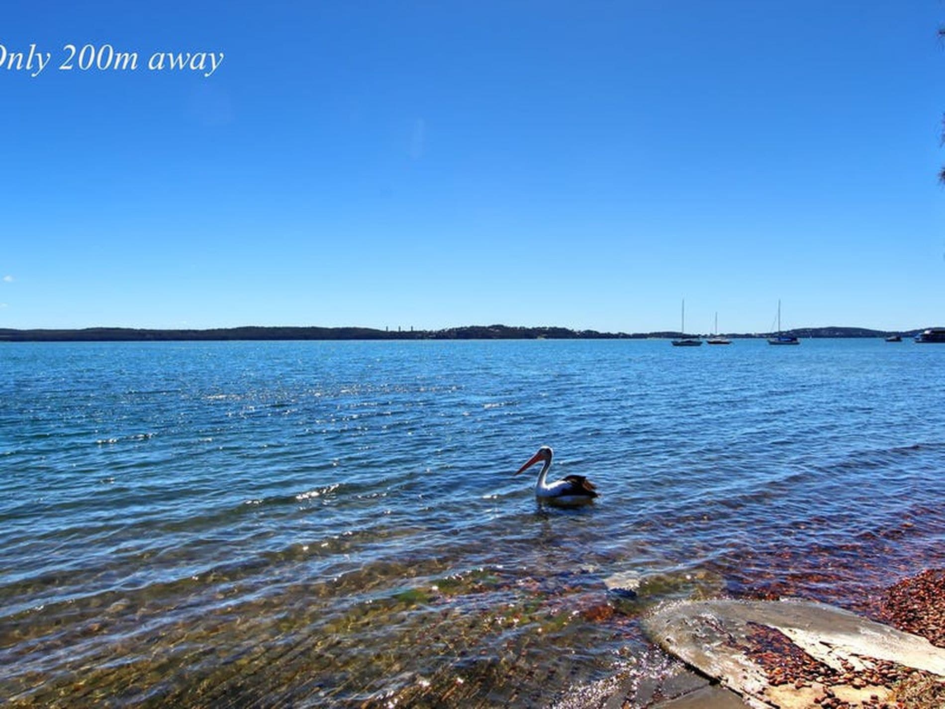 35 Bay Street, Balcolyn, Balcolyn - Thumbnail 2