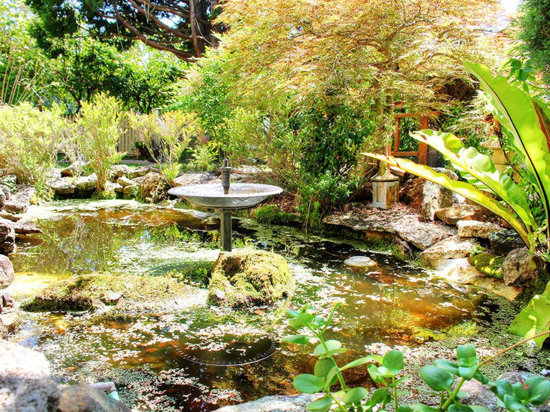 39 Avondale Road, Cooranbong - Thumbnail 4
