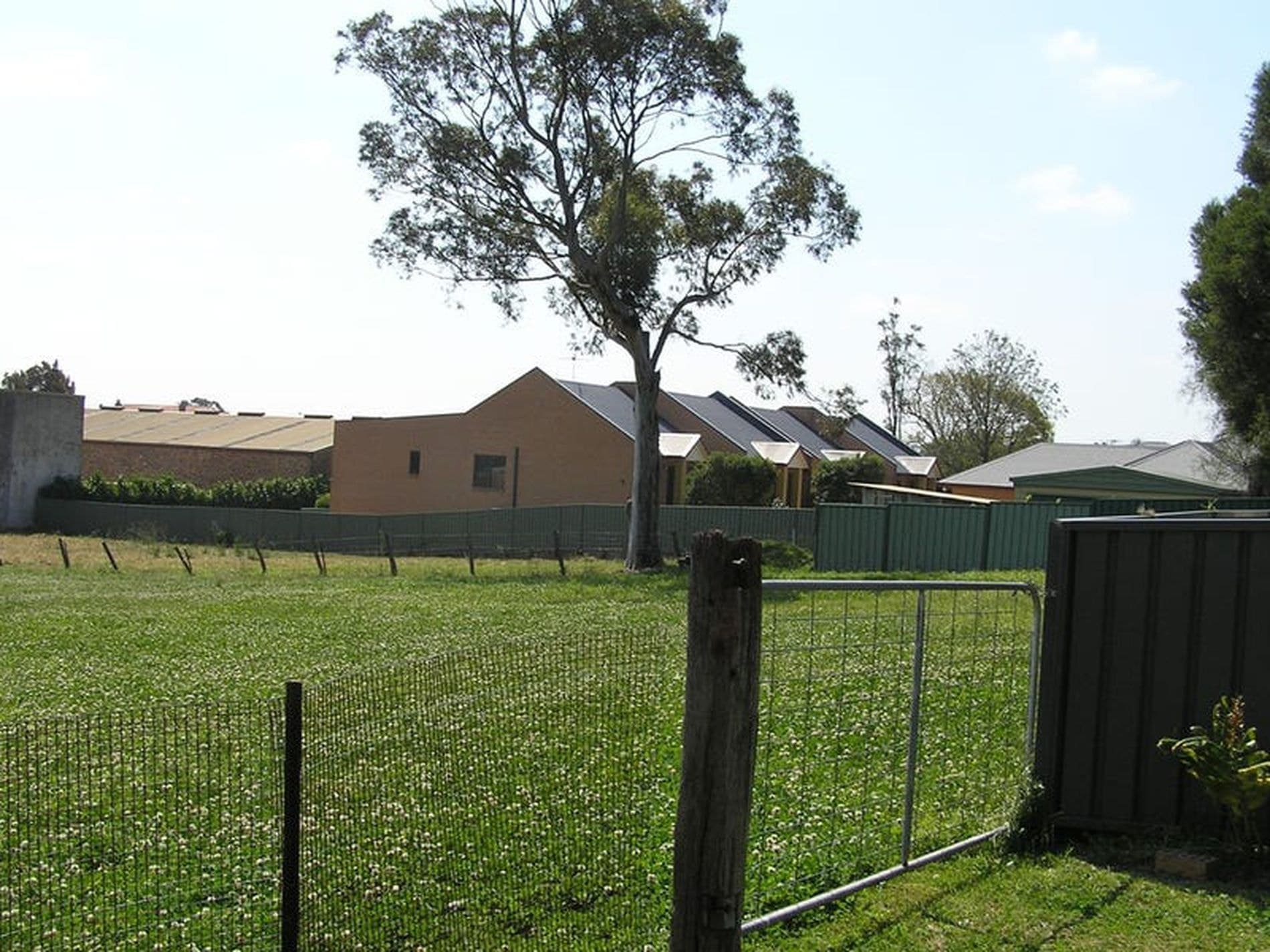 61 Banks Street, East Maitland - Thumbnail 3