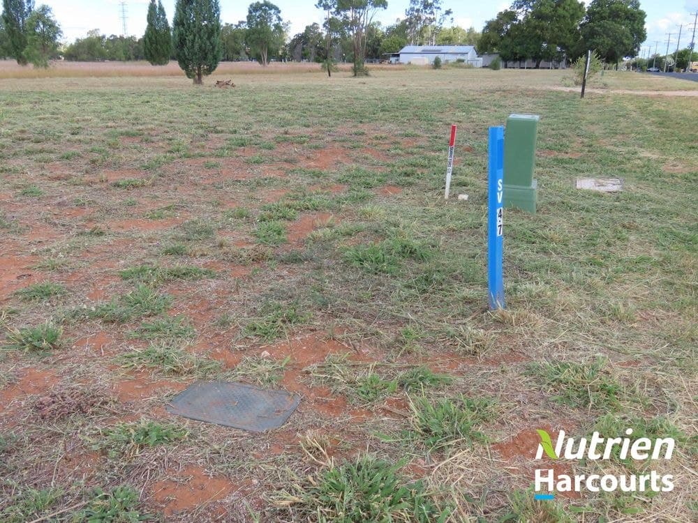 Proposed Lot 1 Rodger Street, CHINCHILLA, QLD 4413, Chinchilla - Thumbnail 5