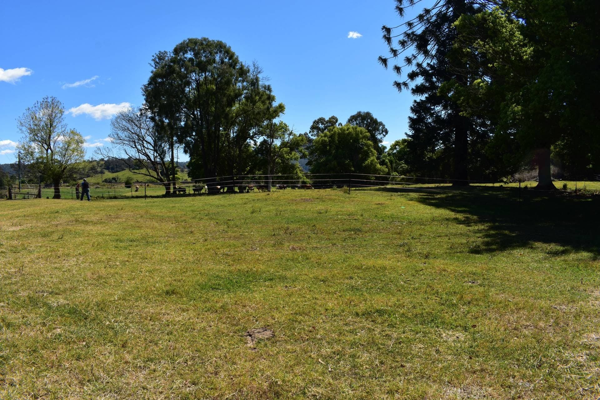 Lot 1 Summerland Way WIANGAREE, Kyogle - Image 1