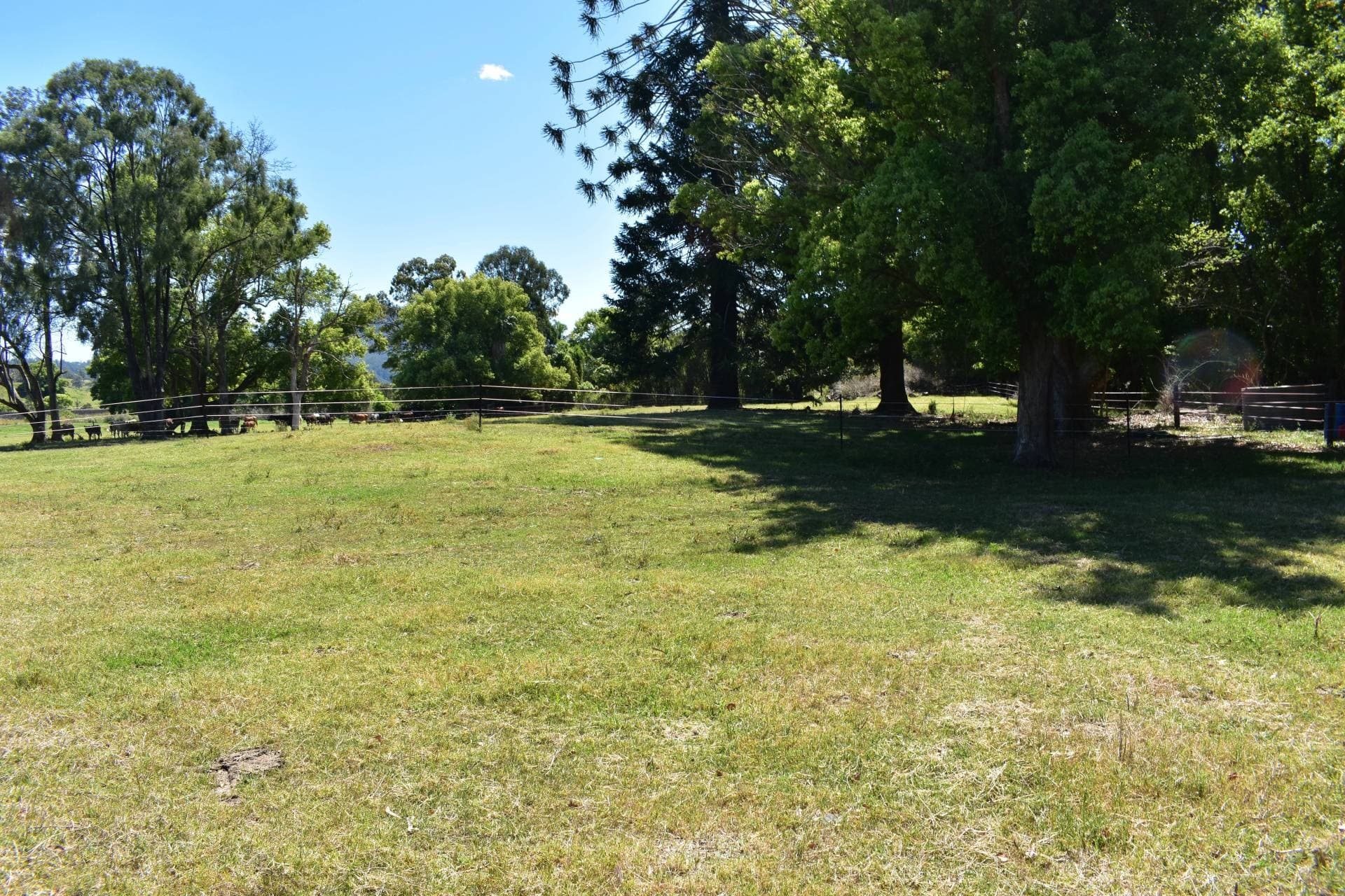 Lot 1 Summerland Way WIANGAREE, Kyogle - Thumbnail 3