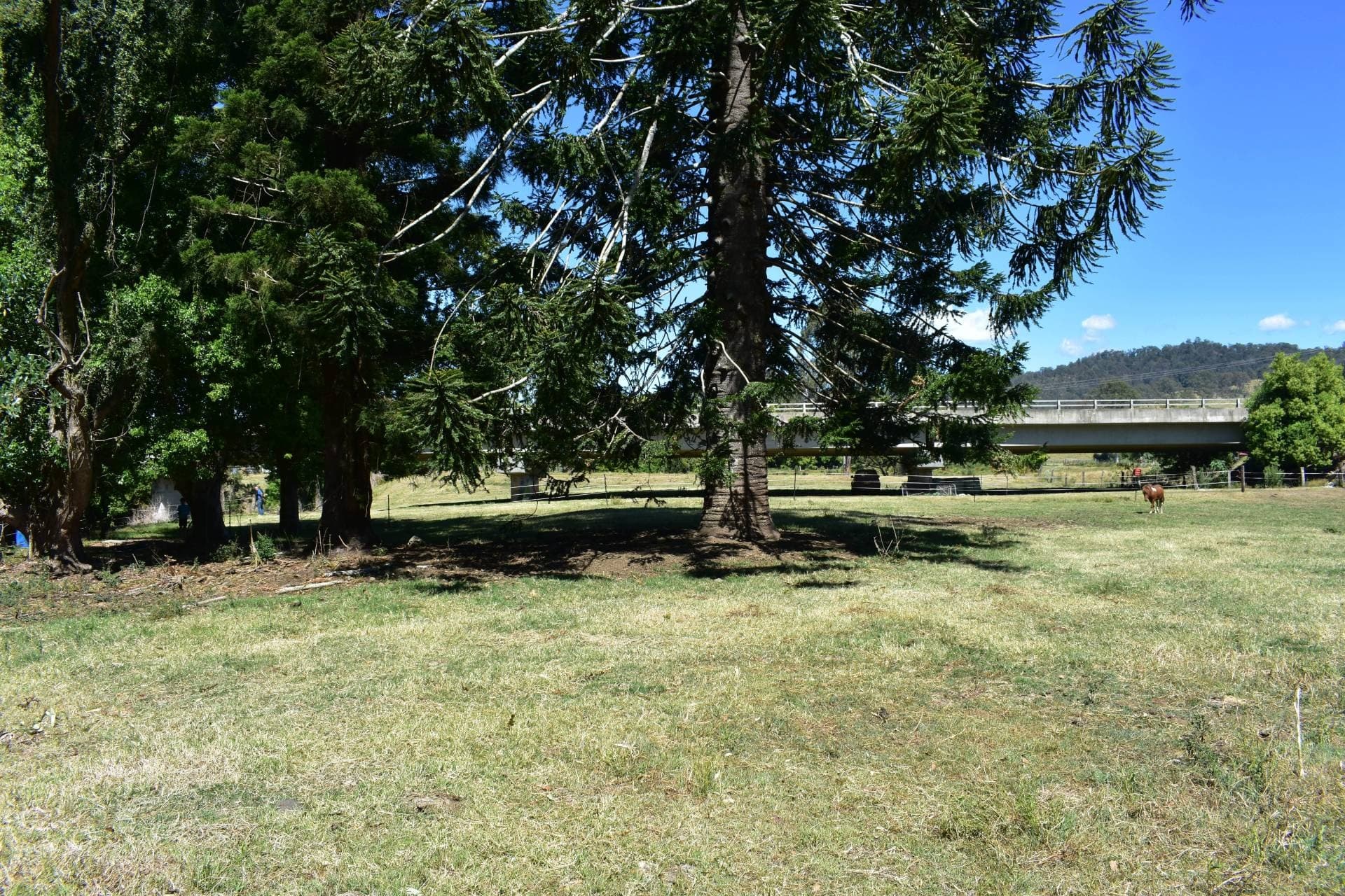 Lot 1 Summerland Way WIANGAREE, Kyogle - Thumbnail 5