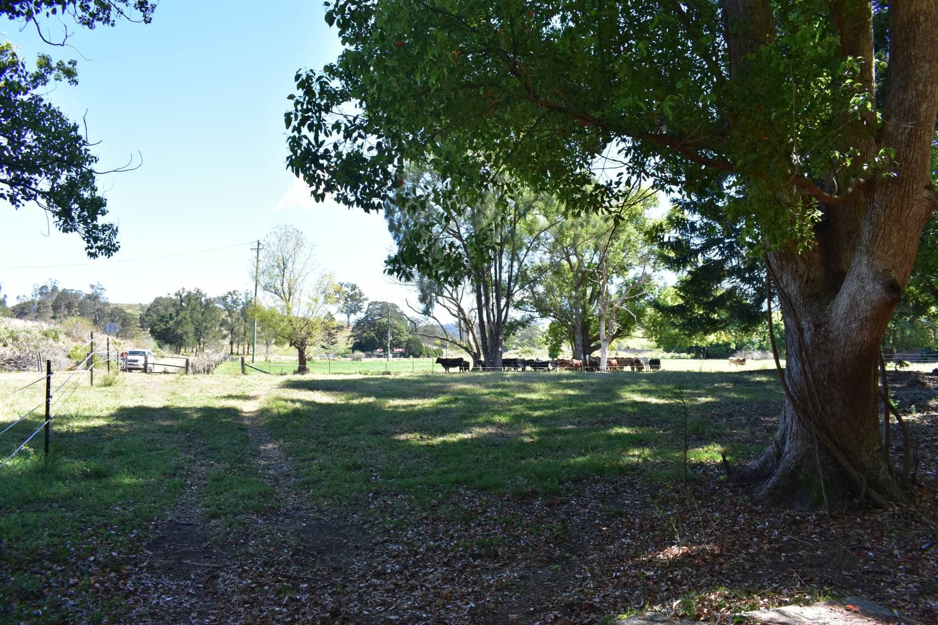 Lot 1 Summerland Way WIANGAREE, Kyogle - Thumbnail 6