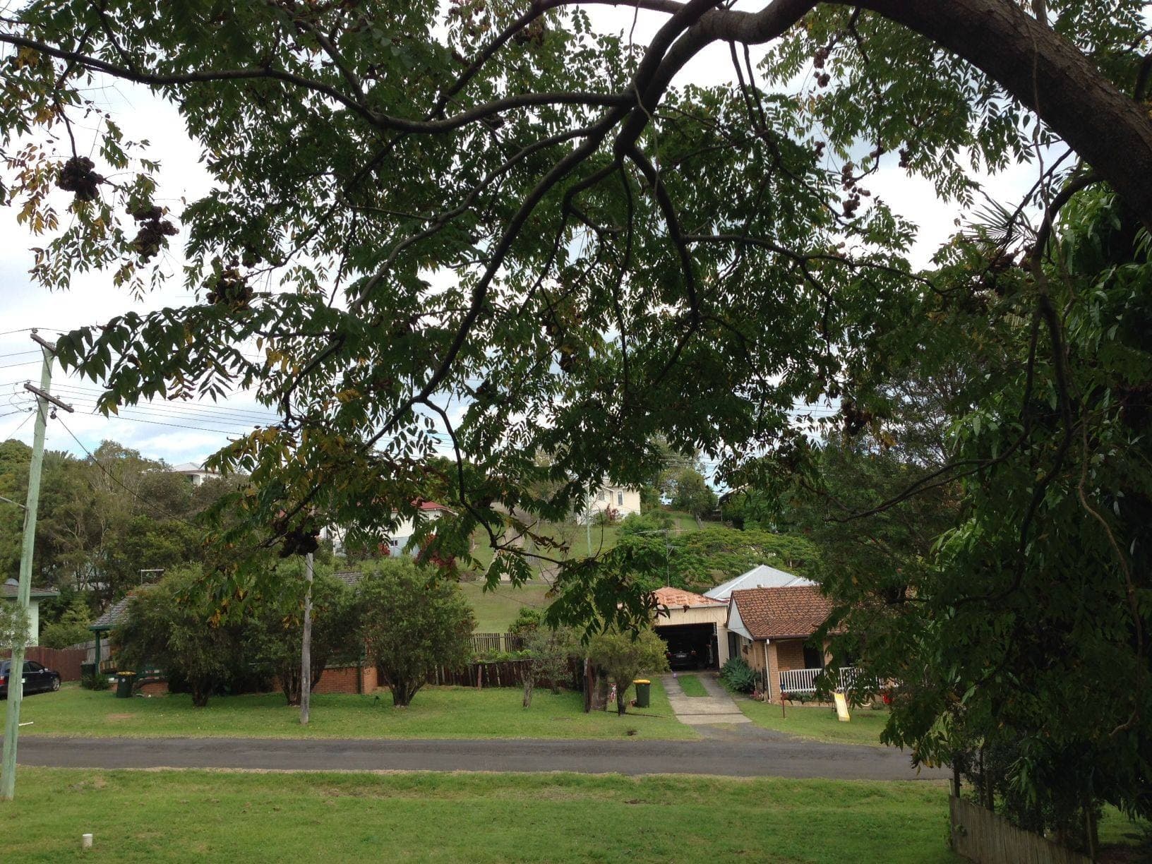 26 Curtois Street, Kyogle - Thumbnail 2