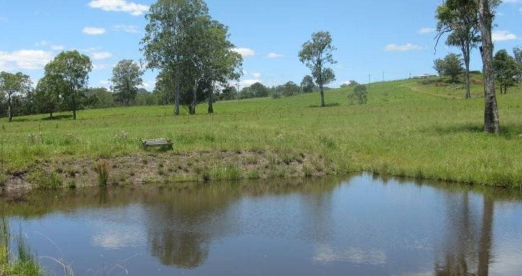 230 Beaury Creek Road, Urbenville - Thumbnail 4