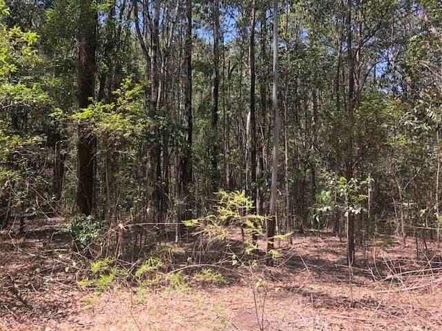 412 Murray Scrub Rd, Kyogle - Thumbnail 2