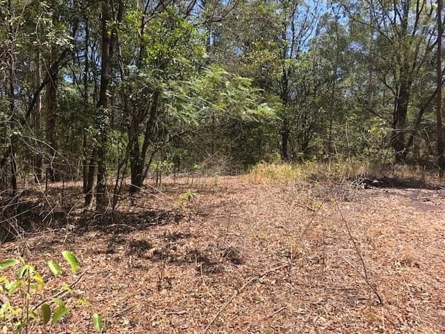 412 Murray Scrub Rd, Kyogle - Thumbnail 3