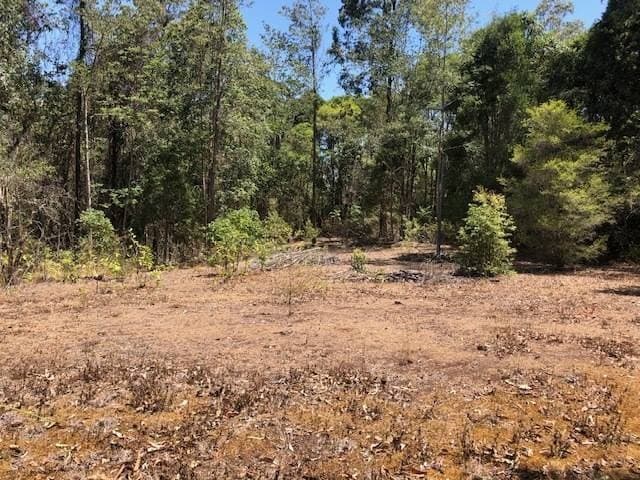412 Murray Scrub Rd, Kyogle - Thumbnail 5