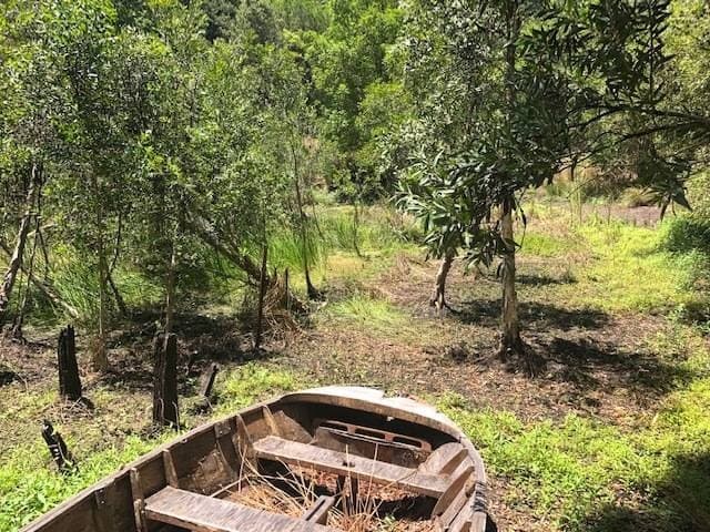 412 Murray Scrub Rd, Kyogle - Thumbnail 6