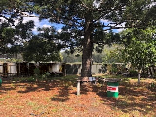 3164 Summerland Way Grevillia, Kyogle - Thumbnail 6