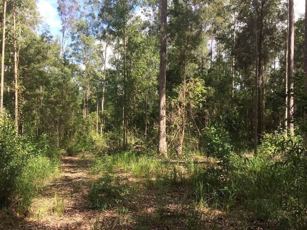 2605 Afterlee Road, Kyogle - Thumbnail 2