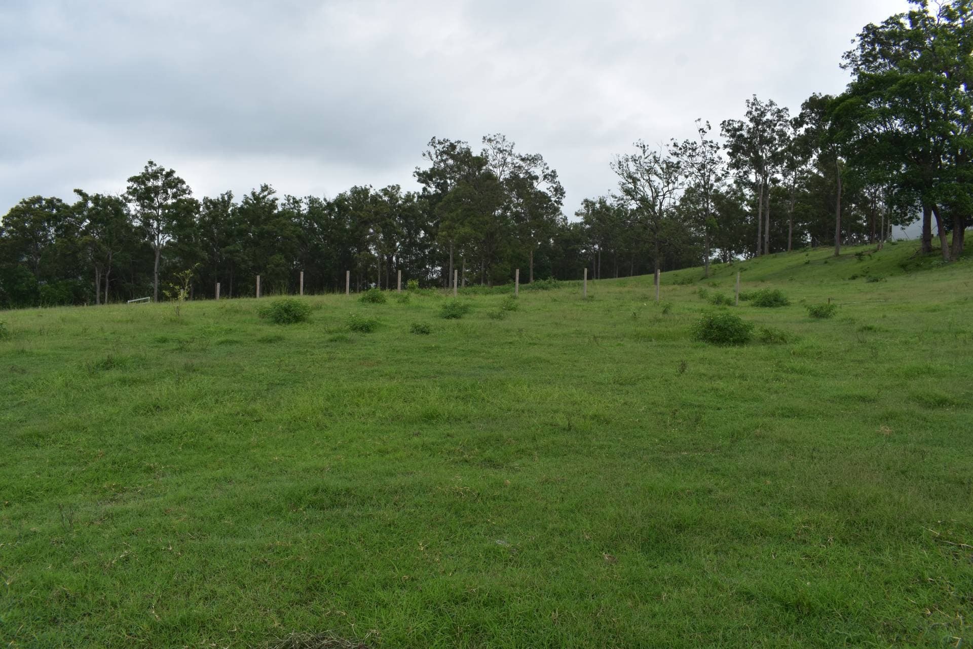 8 Lillian Place, Kyogle - Thumbnail 3