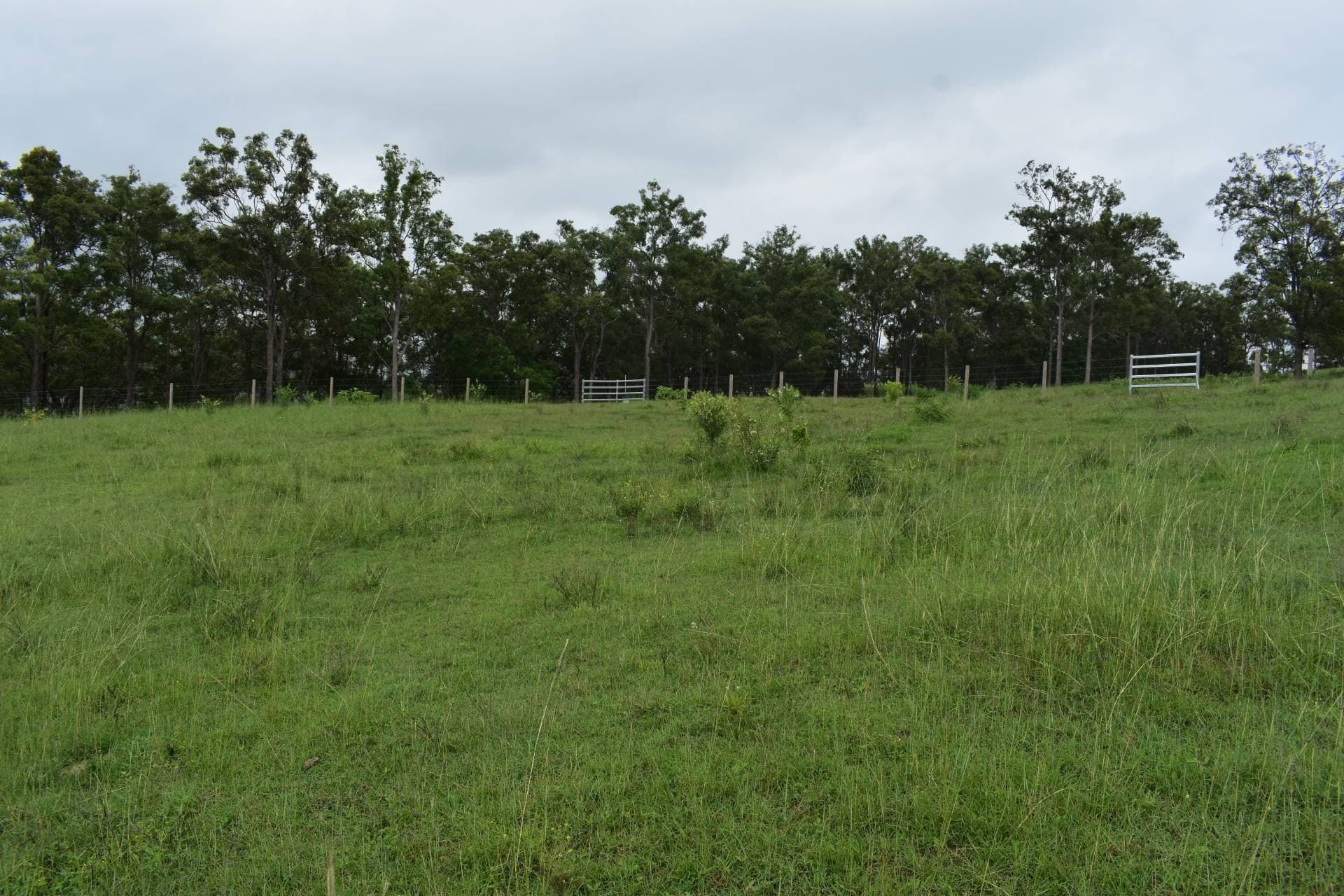 10 Lillian Place, Kyogle - Image 1