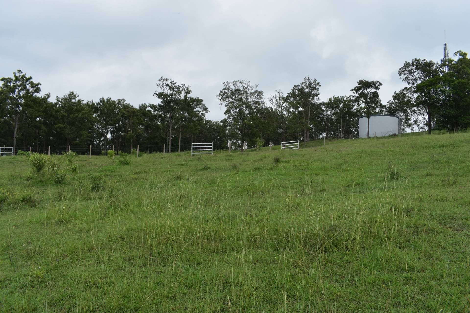 10 Lillian Place, Kyogle - Thumbnail 2
