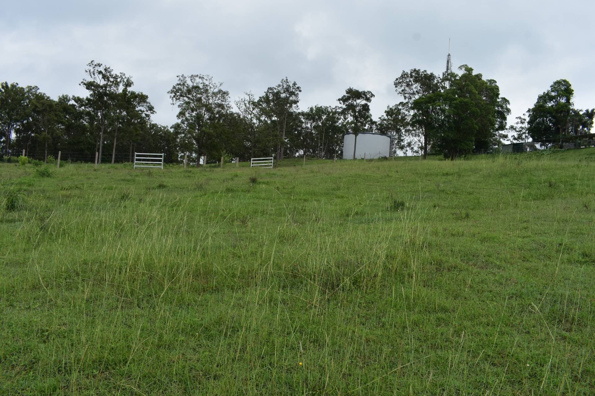 10 Lillian Place, Kyogle - Thumbnail 4