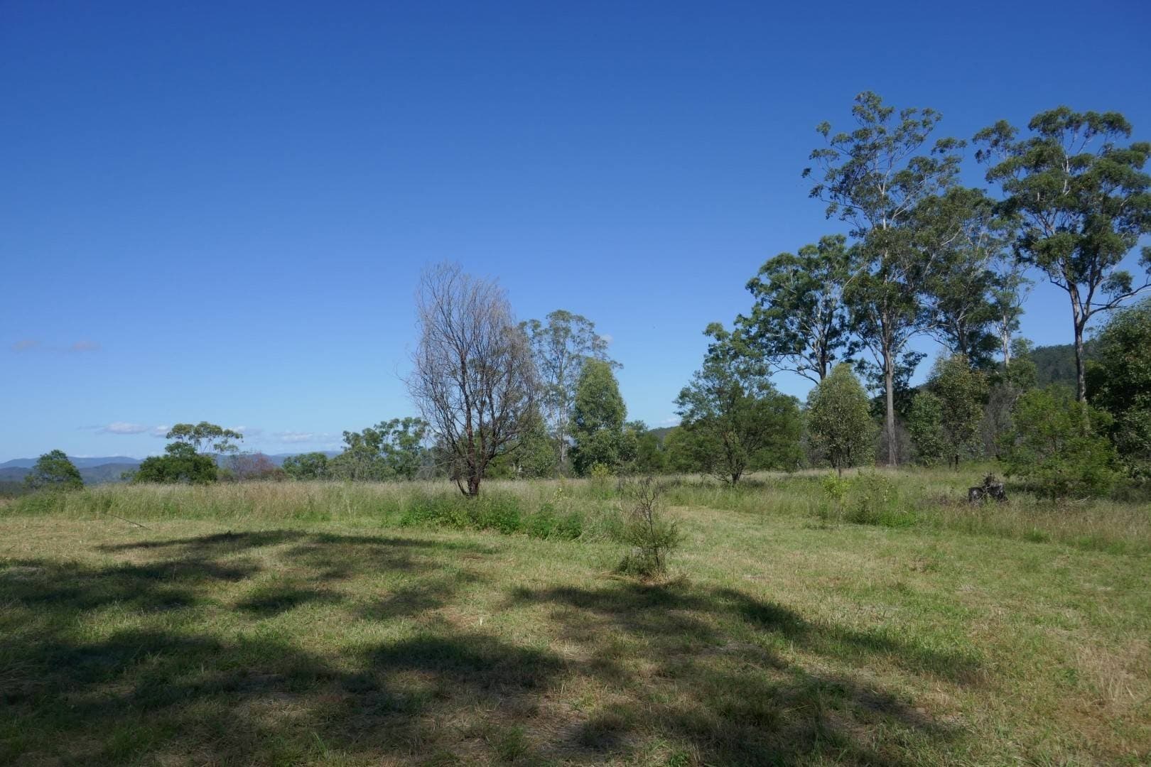 Lot 50 Hills Gate Road, Upper Tooloom - Image 1