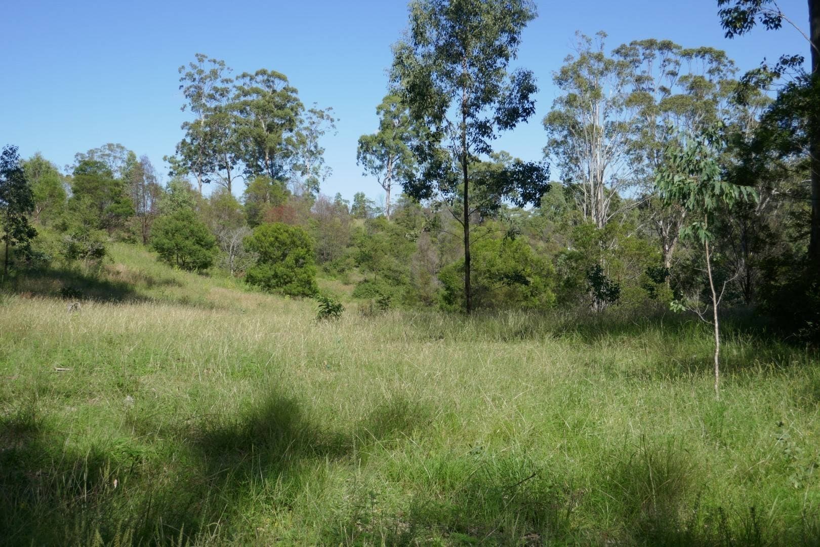 Lot 50 Hills Gate Road, Upper Tooloom - Thumbnail 3
