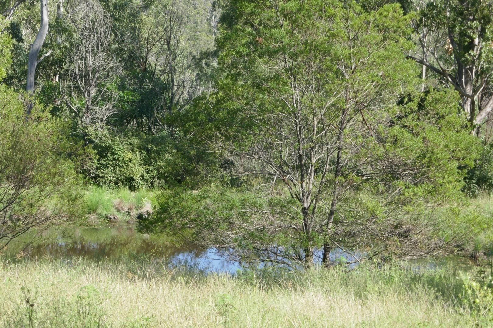 Lot 50 Hills Gate Road, Upper Tooloom - Thumbnail 5
