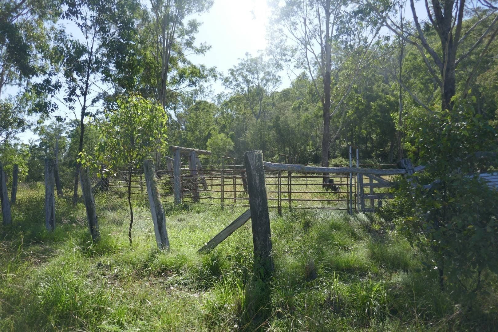Lot 50 Hills Gate Road, Upper Tooloom - Thumbnail 8