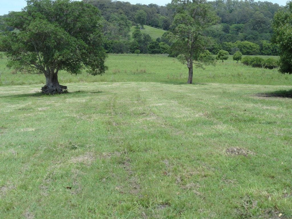 Lot 1 Afterlee Road, Kyogle - Image 1