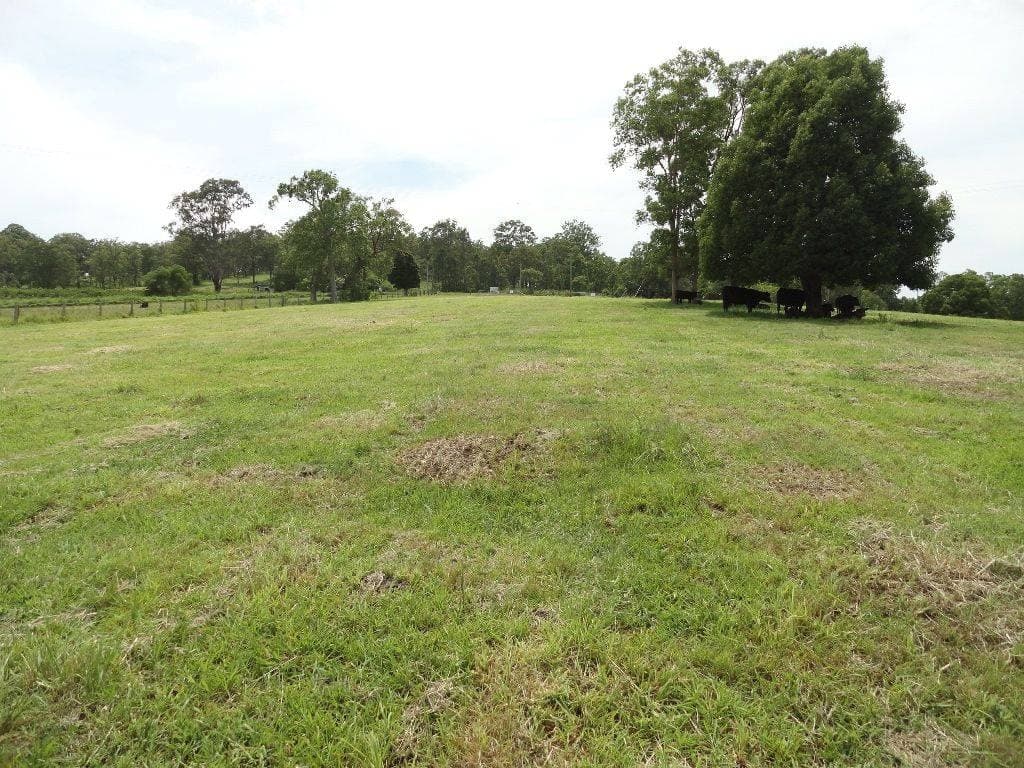 Lot 1 Afterlee Road, Kyogle - Thumbnail 2