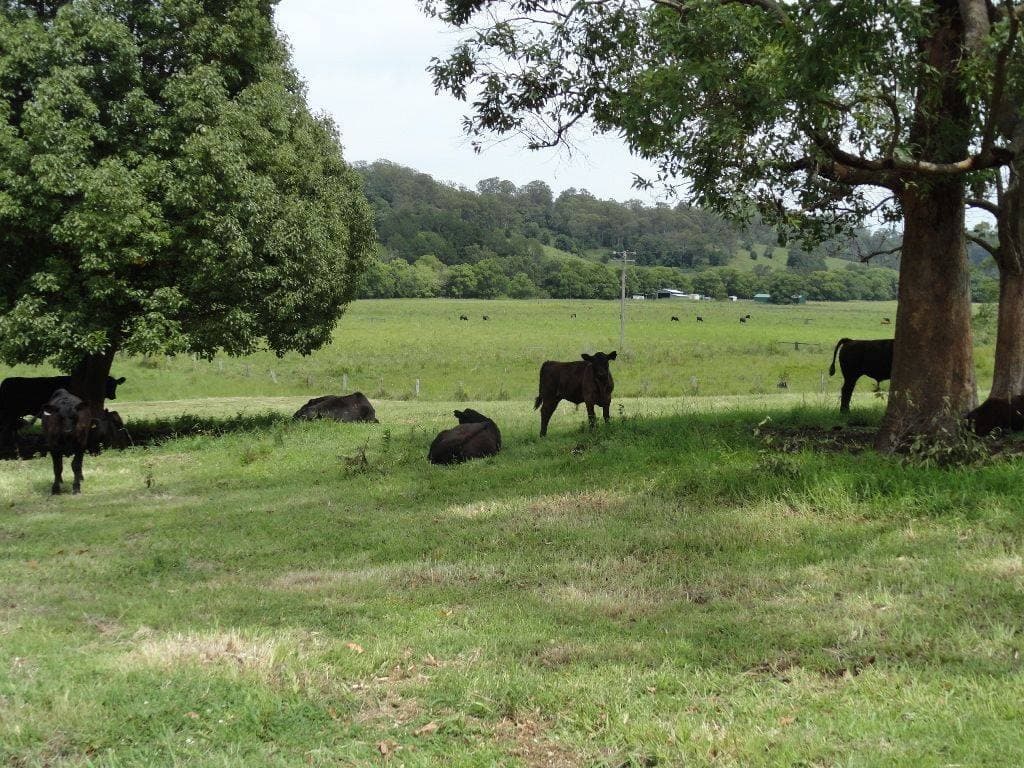 Lot 1 Afterlee Road, Kyogle - Thumbnail 4
