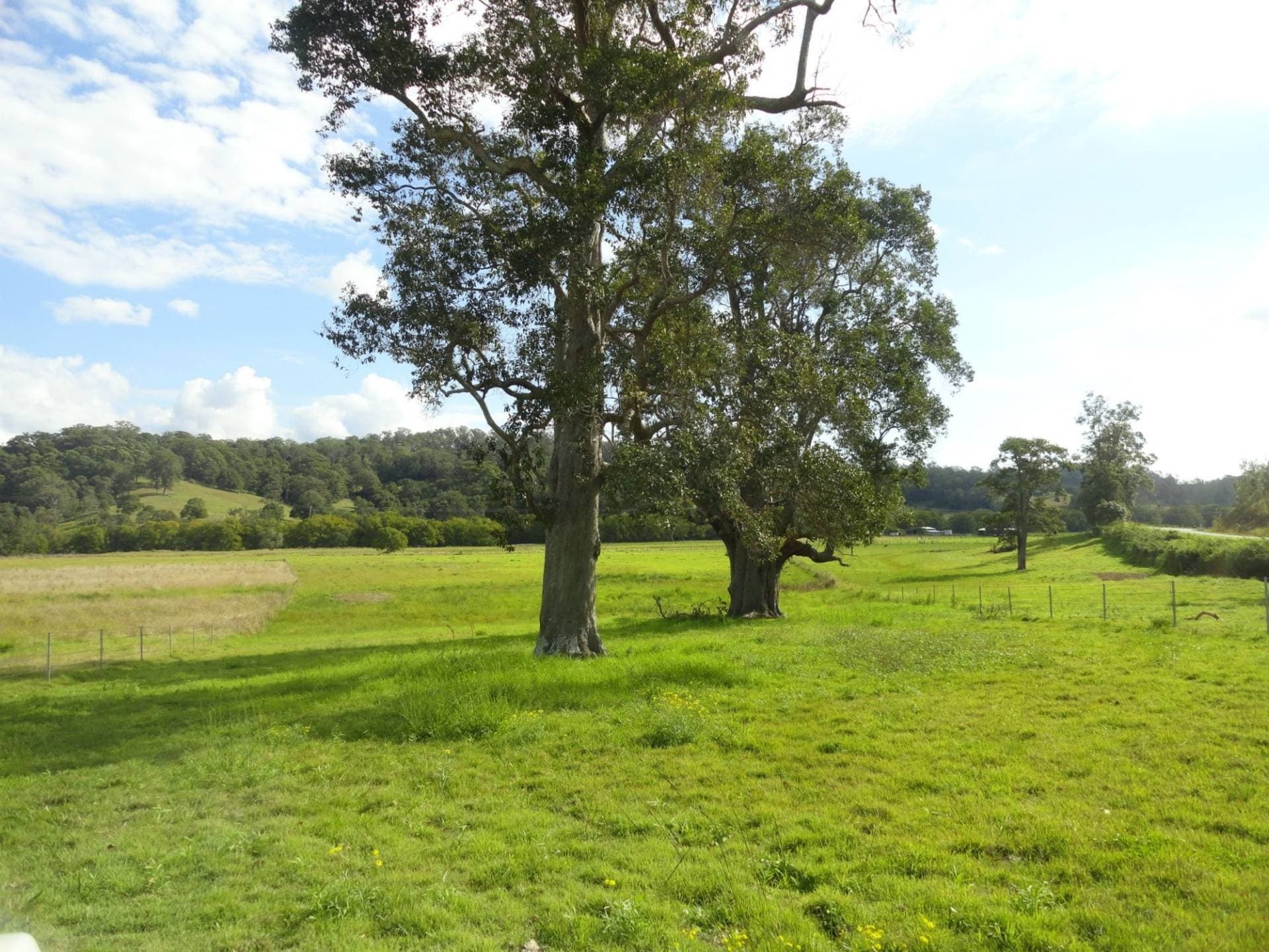 Lot 12 Afterlee Road, Kyogle - Image 1