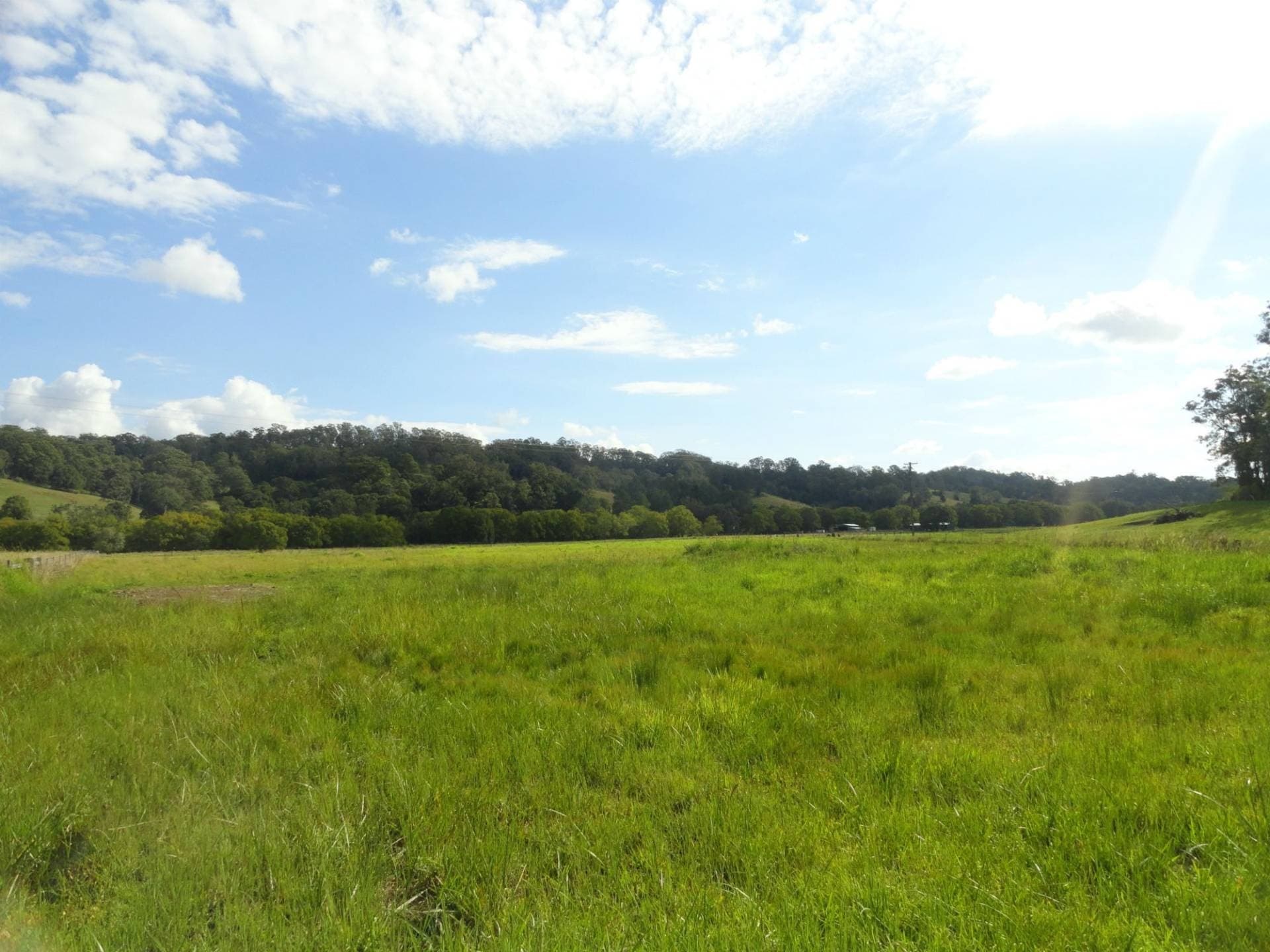 Lot 12 Afterlee Road, Kyogle - Thumbnail 2